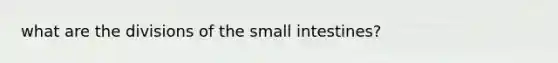 what are the divisions of the small intestines?