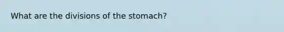 What are the divisions of the stomach?