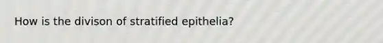 How is the divison of stratified epithelia?