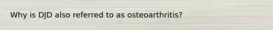 Why is DJD also referred to as osteoarthritis?