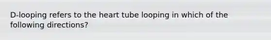 D-looping refers to the heart tube looping in which of the following directions?