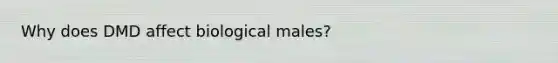 Why does DMD affect biological males?