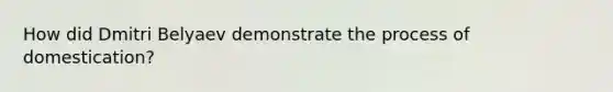 How did Dmitri Belyaev demonstrate the process of domestication?