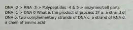 DNA -2-> RNA -3-> Polypeptides -4 & 5-> enzymes/cell parts DNA -1-> DNA 0 What is the product of process 3? a. a strand of DNA b. two complementary strands of DNA c. a strand of RNA d. a chain of amino acid