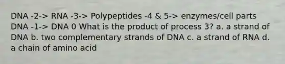 DNA -2-> RNA -3-> Polypeptides -4 & 5-> enzymes/cell parts DNA -1-> DNA 0 What is the product of process 3? a. a strand of DNA b. two complementary strands of DNA c. a strand of RNA d. a chain of amino acid