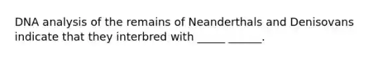 DNA analysis of the remains of Neanderthals and Denisovans indicate that they interbred with _____ ______.