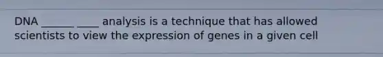 DNA ______ ____ analysis is a technique that has allowed scientists to view the expression of genes in a given cell