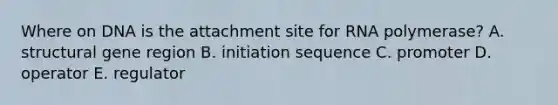 Where on DNA is the attachment site for RNA polymerase? A. structural gene region B. initiation sequence C. promoter D. operator E. regulator