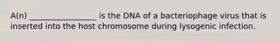 A(n) _________________ is the DNA of a bacteriophage virus that is inserted into the host chromosome during lysogenic infection.