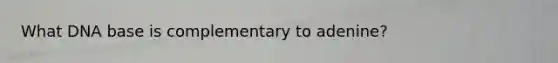 What DNA base is complementary to adenine?