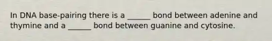 In DNA base-pairing there is a ______ bond between adenine and thymine and a ______ bond between guanine and cytosine.