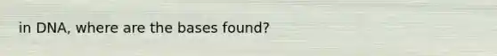 in DNA, where are the bases found?