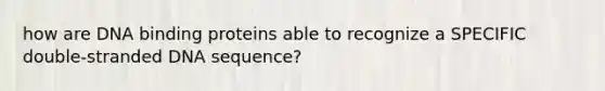 how are DNA binding proteins able to recognize a SPECIFIC double-stranded DNA sequence?