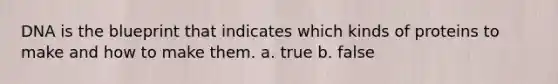 DNA is the blueprint that indicates which kinds of proteins to make and how to make them. a. true b. false