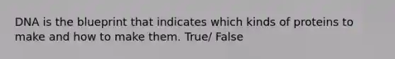 DNA is the blueprint that indicates which kinds of proteins to make and how to make them. True/ False