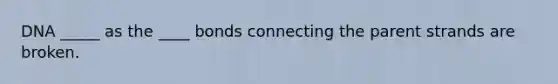 DNA _____ as the ____ bonds connecting the parent strands are broken.