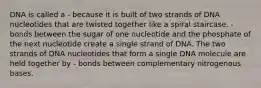 DNA is called a - because it is built of two strands of DNA nucleotides that are twisted together like a spiral staircase. - bonds between the sugar of one nucleotide and the phosphate of the next nucleotide create a single strand of DNA. The two strands of DNA nucleotides that form a single DNA molecule are held together by - bonds between complementary nitrogenous bases.