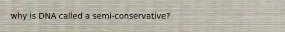 why is DNA called a semi-conservative?