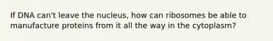 If DNA can't leave the nucleus, how can ribosomes be able to manufacture proteins from it all the way in the cytoplasm?