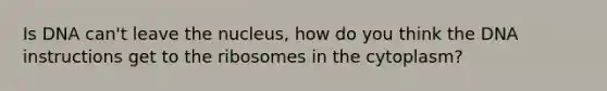 Is DNA can't leave the nucleus, how do you think the DNA instructions get to the ribosomes in the cytoplasm?