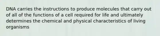 DNA carries the instructions to produce molecules that carry out of all of the functions of a cell required for life and ultimately determines the chemical and physical characteristics of living organisms