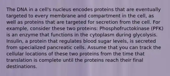 The DNA in a cell's nucleus encodes proteins that are eventually targeted to every membrane and compartment in the cell, as well as proteins that are targeted for secretion from the cell. For example, consider these two proteins: Phosphofructokinase (PFK) is an enzyme that functions in the cytoplasm during glycolysis. Insulin, a protein that regulates blood sugar levels, is secreted from specialized pancreatic cells. Assume that you can track the cellular locations of these two proteins from the time that translation is complete until the proteins reach their final destinations.