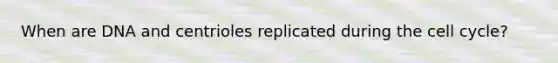 When are DNA and centrioles replicated during the cell cycle?