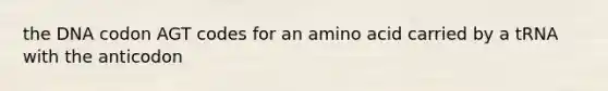 the DNA codon AGT codes for an amino acid carried by a tRNA with the anticodon