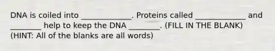 DNA is coiled into _____________. Proteins called _____________ and ________ help to keep the DNA ________. (FILL IN THE BLANK) (HINT: All of the blanks are all words)