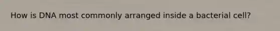 How is DNA most commonly arranged inside a bacterial cell?