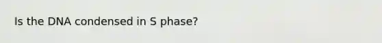 Is the DNA condensed in S phase?