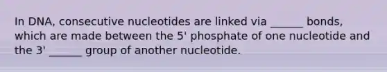 In DNA, consecutive nucleotides are linked via ______ bonds, which are made between the 5' phosphate of one nucleotide and the 3' ______ group of another nucleotide.