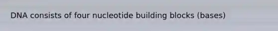 DNA consists of four nucleotide building blocks (bases)