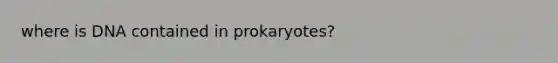 where is DNA contained in prokaryotes?