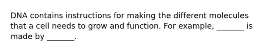 DNA contains instructions for making the different molecules that a cell needs to grow and function. For example, _______ is made by _______.