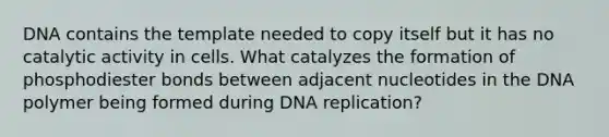 DNA contains the template needed to copy itself but it has no catalytic activity in cells. What catalyzes the formation of phosphodiester bonds between adjacent nucleotides in the DNA polymer being formed during DNA replication?