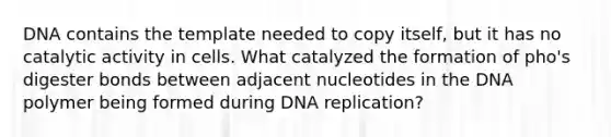 DNA contains the template needed to copy itself, but it has no catalytic activity in cells. What catalyzed the formation of pho's digester bonds between adjacent nucleotides in the DNA polymer being formed during DNA replication?