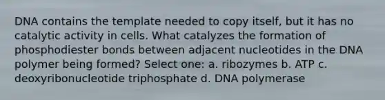 DNA contains the template needed to copy itself, but it has no catalytic activity in cells. What catalyzes the formation of phosphodiester bonds between adjacent nucleotides in the DNA polymer being formed? Select one: a. ribozymes b. ATP c. deoxyribonucleotide triphosphate d. DNA polymerase