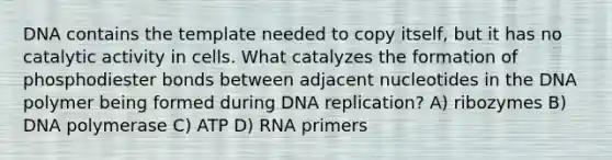 DNA contains the template needed to copy itself, but it has no catalytic activity in cells. What catalyzes the formation of phosphodiester bonds between adjacent nucleotides in the DNA polymer being formed during DNA replication? A) ribozymes B) DNA polymerase C) ATP D) RNA primers