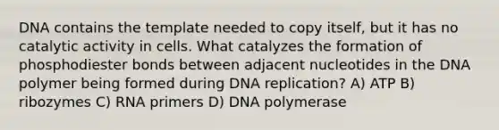 DNA contains the template needed to copy itself, but it has no catalytic activity in cells. What catalyzes the formation of phosphodiester bonds between adjacent nucleotides in the DNA polymer being formed during DNA replication? A) ATP B) ribozymes C) RNA primers D) DNA polymerase