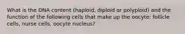 What is the DNA content (haploid, diploid or polyploid) and the function of the following cells that make up the oocyte: follicle cells, nurse cells, oocyte nucleus?