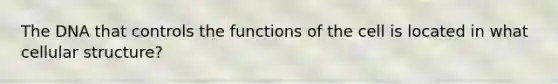 The DNA that controls the functions of the cell is located in what cellular structure?