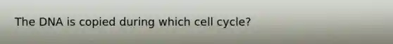 The DNA is copied during which cell cycle?