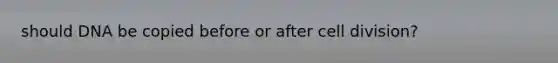 should DNA be copied before or after cell division?