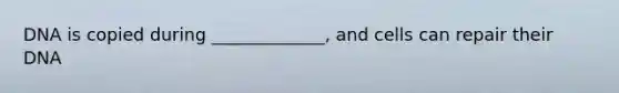 DNA is copied during _____________, and cells can repair their DNA