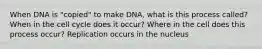 When DNA is "copied" to make DNA, what is this process called? When in the cell cycle does it occur? Where in the cell does this process occur? Replication occurs in the nucleus