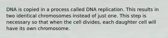 DNA is copied in a process called <a href='https://www.questionai.com/knowledge/kofV2VQU2J-dna-replication' class='anchor-knowledge'>dna replication</a>. This results in two identical chromosomes instead of just one. This step is necessary so that when the cell divides, each daughter cell will have its own chromosome.