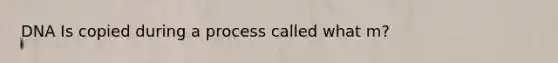 DNA Is copied during a process called what m?