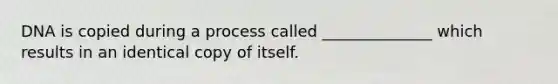 DNA is copied during a process called ______________ which results in an identical copy of itself.