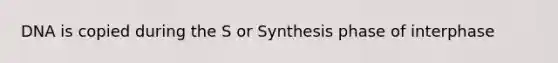 DNA is copied during the S or Synthesis phase of interphase